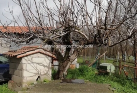 Candeleda 10000&nbsp;m² 