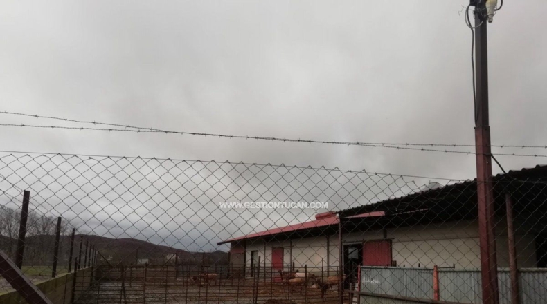 Авила - Candeleda - 10000m2