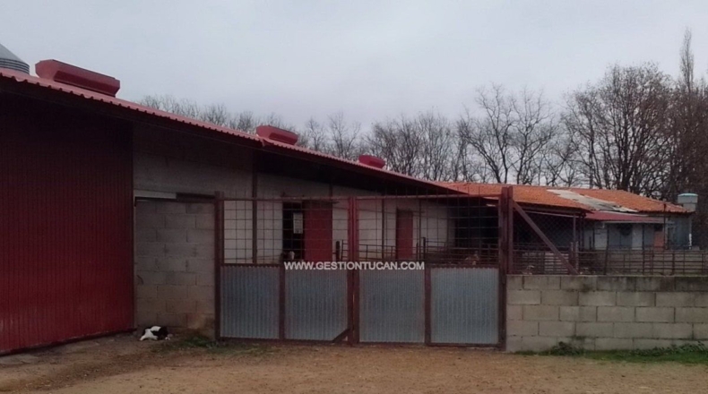 Авила - Candeleda - 10000m2