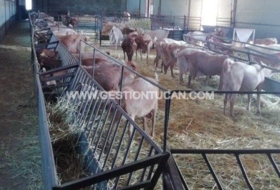 Candeleda 10000&nbsp;m² 