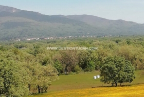 Candeleda 10000&nbsp;m² 