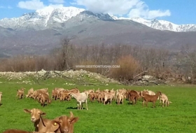 Candeleda 10000&nbsp;m² 