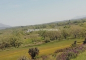 Земельный участок на продажу в городе Candeleda. Фото