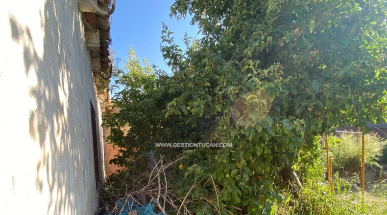 Toledo - Talavera de la Reina - 298m2