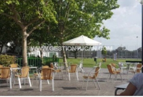 Pepino 2455&nbsp;m² 