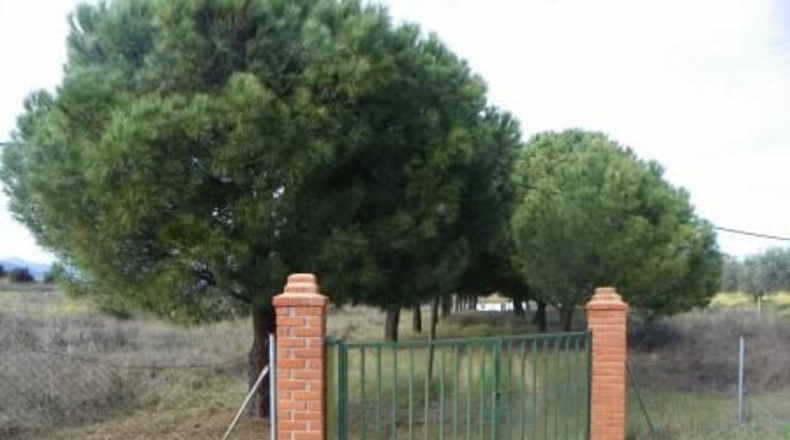Toledo - Almorox - 26880m2