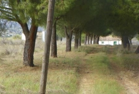 Almorox 26880&nbsp;m² 