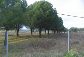 Almorox 26880&nbsp;m² 