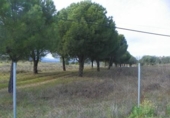 Finca rústica en venta en Almorox ref: TR187521 foto