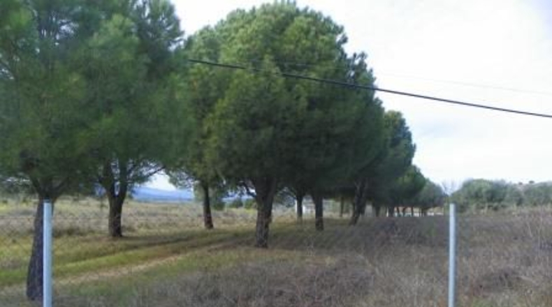 Toledo - Almorox - 26880m2
