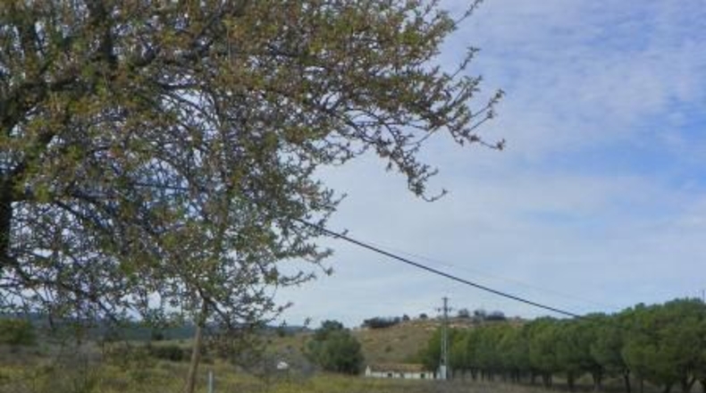 Toledo - Almorox - 26880m2