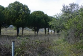 Almorox 26880&nbsp;m² 