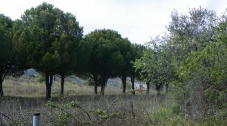 Toledo - Almorox - 26880m2