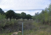 Finca rústica en venta en Almorox ref: TR187521 foto