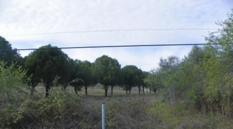 Toledo - Almorox - 26880m2