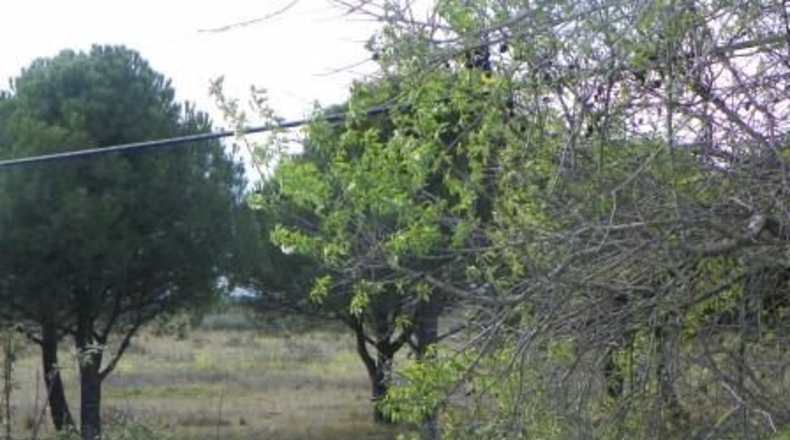 Toledo - Almorox - 26880m2
