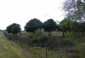 Almorox 26880&nbsp;m² 