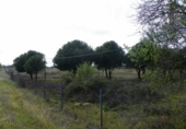 Finca rústica en venta en Almorox ref: TR187521 foto