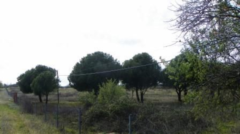 Toledo - Almorox - 26880m2