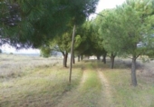 Finca rústica en venta en Almorox ref: TR187521 foto