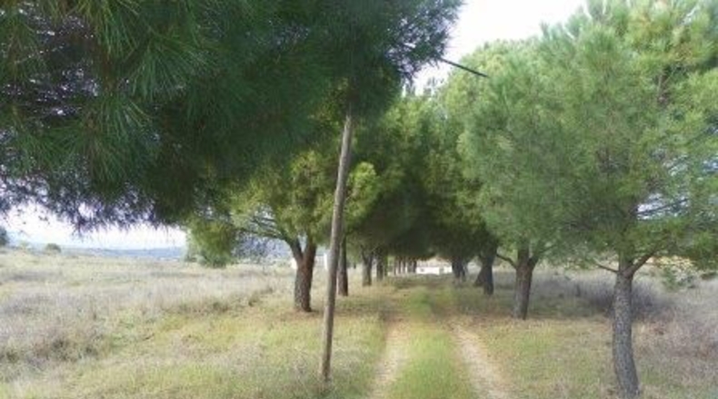 Toledo - Almorox - 26880m2