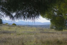 Almorox 26880&nbsp;m² 