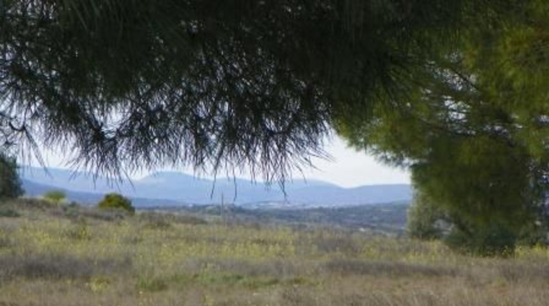 Toledo - Almorox - 26880m2