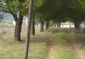 Finca rústica en venta en Almorox ref: TR187521 foto
