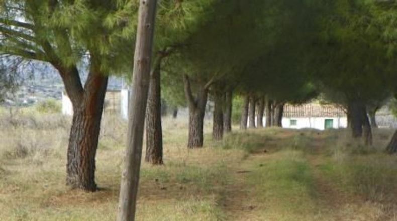 Toledo - Almorox - 26880m2