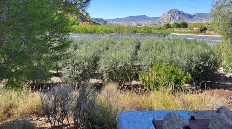 Murcia - Archena - 1800m2