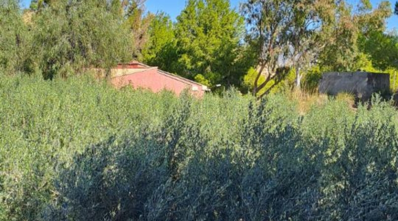 Murcia - Archena - 1800m2