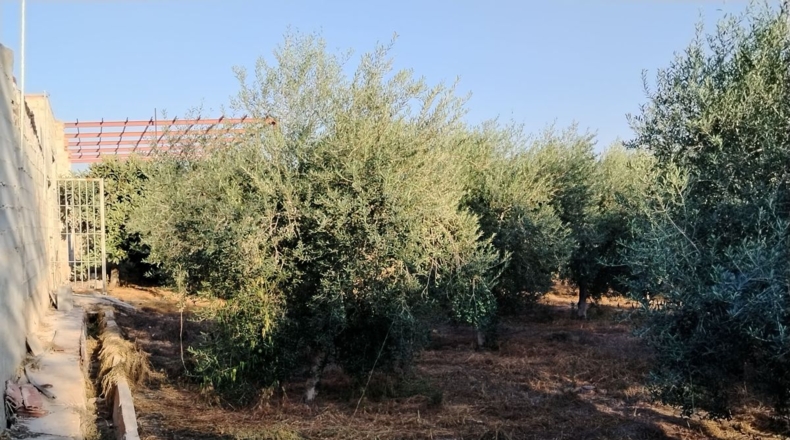 Murcia - Archena - 1800m2