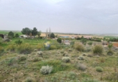 Parcel·la urbanitzable en venda a Fuentidueña de Tajo ref.: TR106277 foto