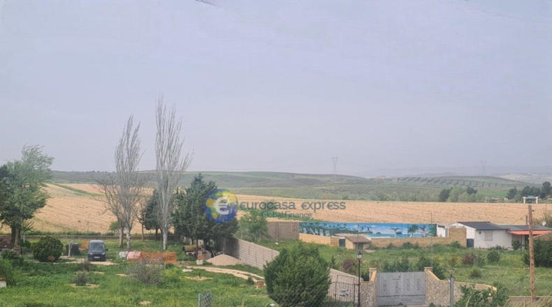 Comunidad de Madrid - Alarilla - 2390m2