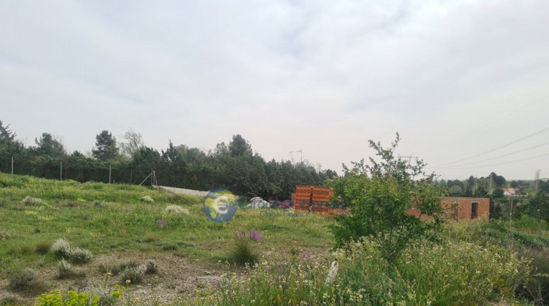 Comunidad de Madrid - Alarilla - 2390m2