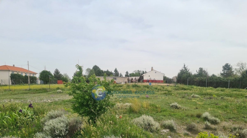 Comunidad de Madrid - Alarilla - 2390m2