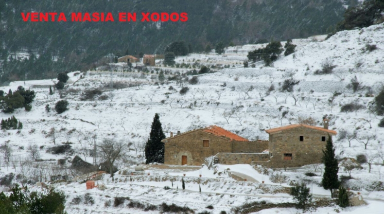 Castellón - Grupo San Pedro - 14000m2