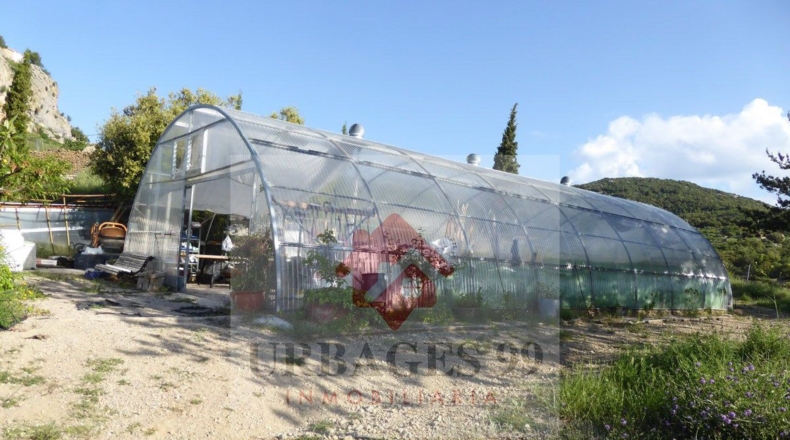 Castellón - Grupo San Pedro - 14000m2