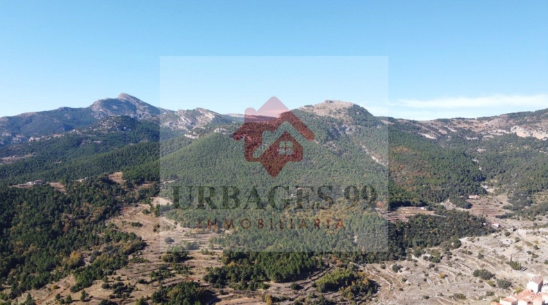Castellón - Grupo San Pedro - 14000m2