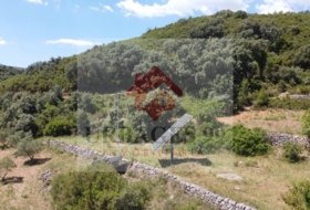 Atzeneta del Maestrat 54497&nbsp;m² 