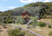 Xalet independent amb terreny en venda a Atzeneta del Maestrat ref.: TR47852 foto