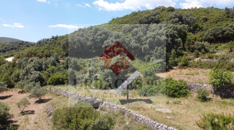 Castellón - Adzaneta - 54497m2