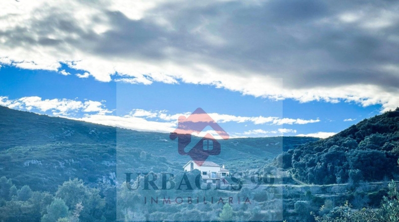 Castellón - Adzaneta - 54497m2