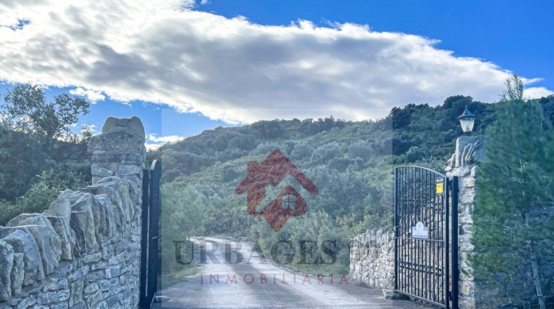 Castellón - Adzaneta - 54497m2