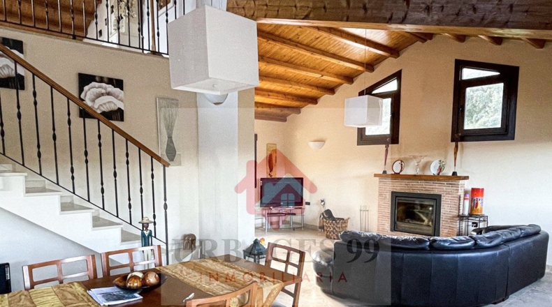 Castellón - Adzaneta - 54497m2