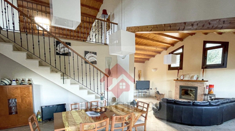 Castellón - Adzaneta - 54497m2