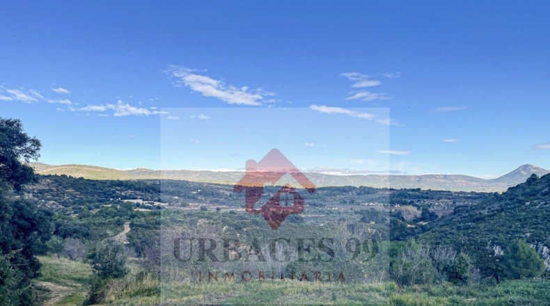 Castellón - Adzaneta - 54497m2