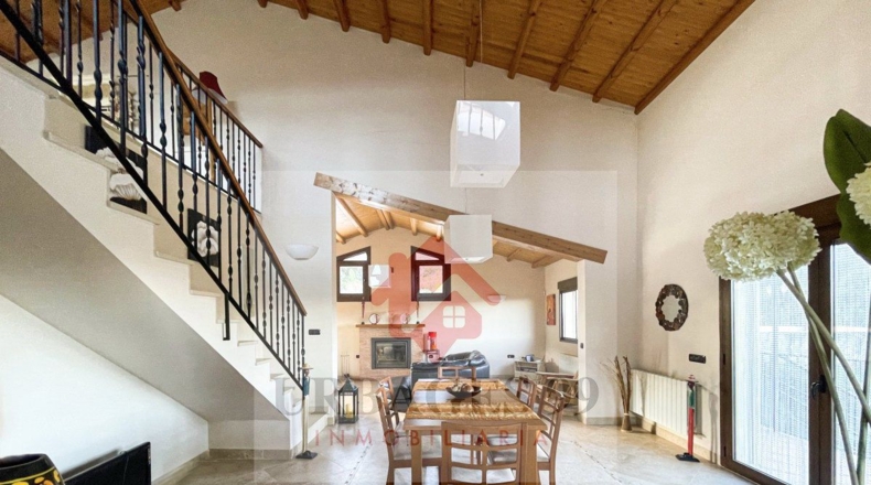 Castellón - Adzaneta - 54497m2