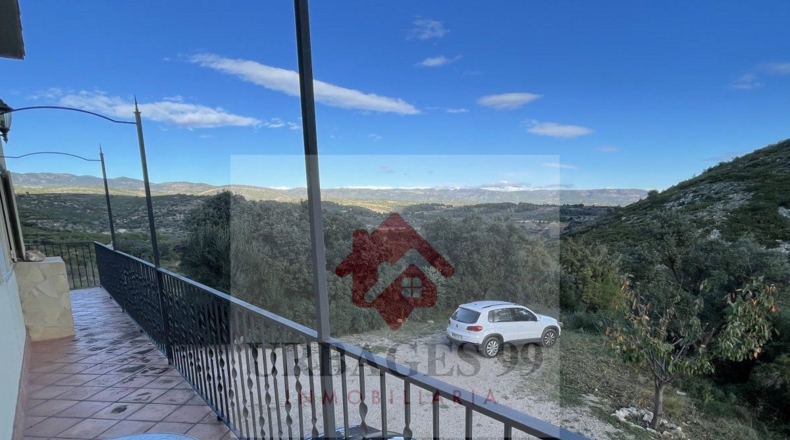 Castellón - Adzaneta - 54497m2