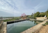 Xalet independent amb terreny en venda a Borriol ref.: TR81236 foto